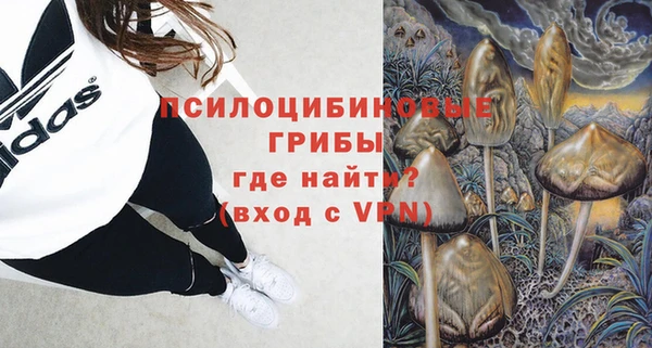 амф Аркадак