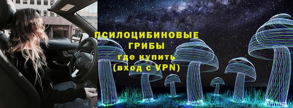 сатива Саяногорск