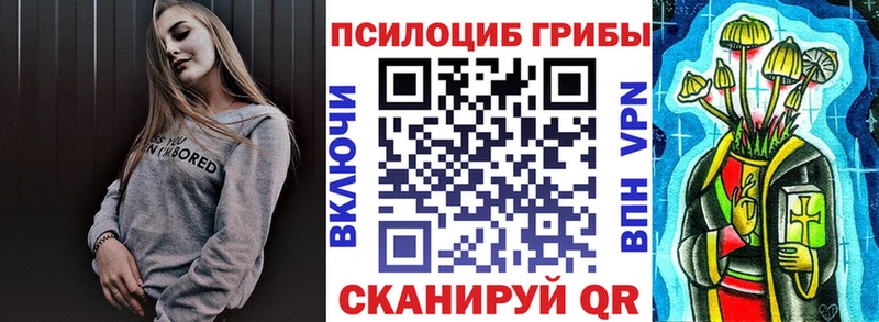 где купить наркоту  Шуя  Галлюциногенные грибы прущие грибы 